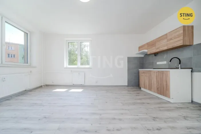 Prodej bytu 2+kk, Ostrava - Hrabůvka, Plzeňská, 48 m2