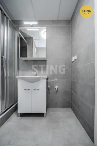 Prodej bytu 2+kk, Ostrava - Hrabůvka, Plzeňská, 48 m2