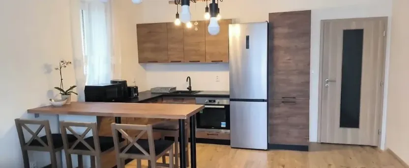 Pronájem bytu 2+kk, Plasy, U Václava, 55 m2