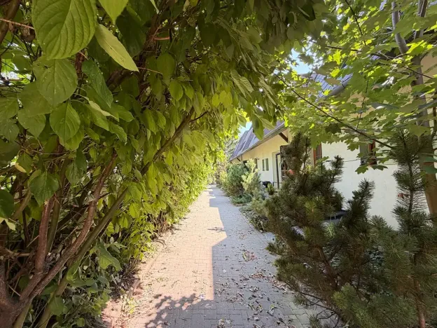 Pronájem bytu 3+kk, Kovalovice, 67 m2