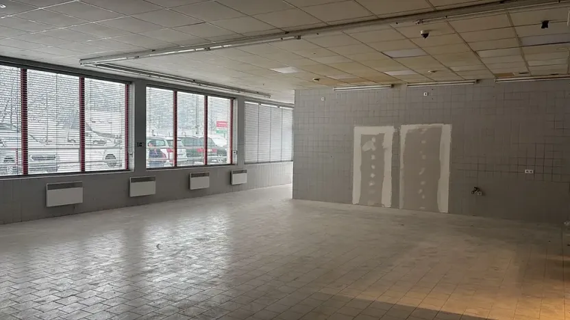 Pronájem obchodního prostoru, Velké Albrechtice, 180 m2