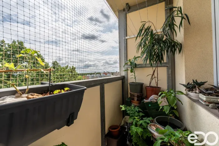 Prodej bytu 3+kk, Praha, Bohúňova, 61 m2