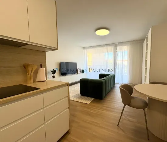 Pronájem bytu 1+kk, Ostrava - Slezská Ostrava, U Hájenky, 40 m2