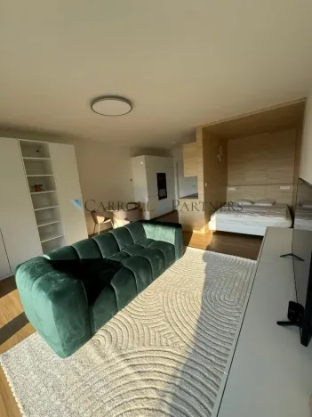 Pronájem bytu 1+kk, Ostrava - Slezská Ostrava, U Hájenky, 40 m2