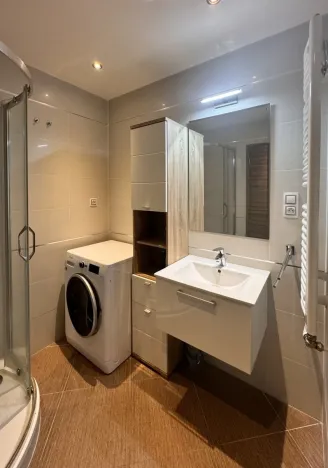 Pronájem bytu 2+kk, Praha - Žižkov, Olšanská, 50 m2
