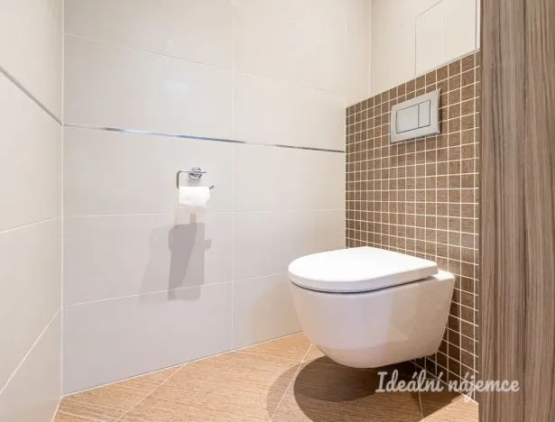Pronájem bytu 2+kk, Praha - Žižkov, Olšanská, 50 m2
