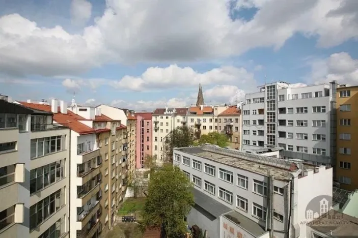 Pronájem bytu 1+kk, Praha - Vinohrady, Uruguayská, 22 m2