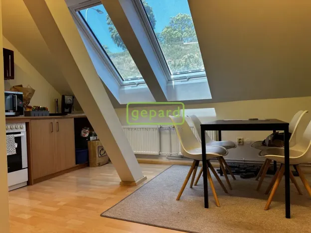 Pronájem bytu 1+1, Brno, Kopečná, 55 m2