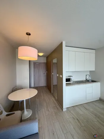Prodej apartmánu, Dolní Morava, 28 m2
