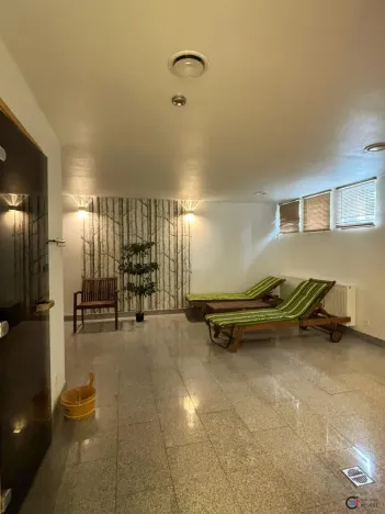 Prodej apartmánu, Dolní Morava, 28 m2