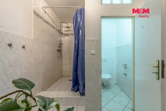 Prodej rodinného domu, Písková Lhota, 160 m2