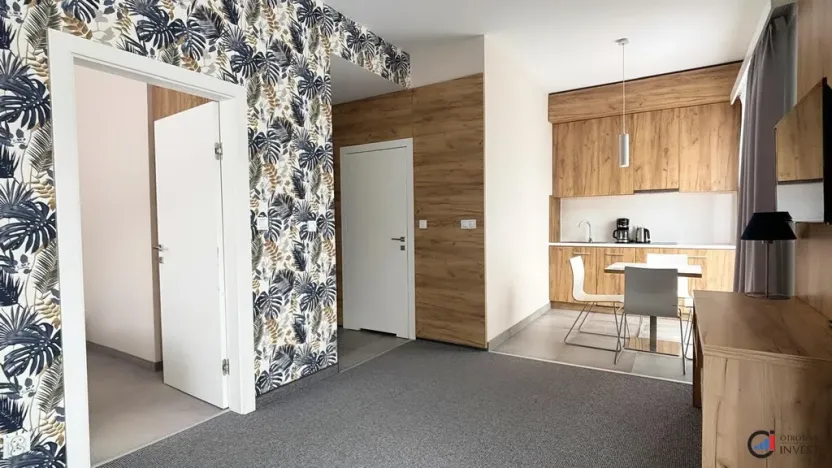 Prodej apartmánu, Dolní Morava, 46 m2