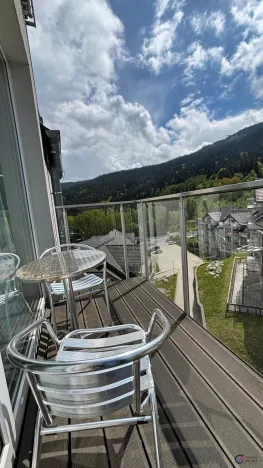 Prodej apartmánu, Dolní Morava, 46 m2