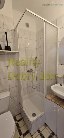 Prodej bytu 1+kk, Dolní Benešov, Osada míru, 21 m2