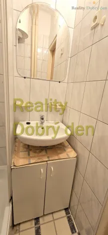 Prodej bytu 1+kk, Dolní Benešov, Osada míru, 21 m2