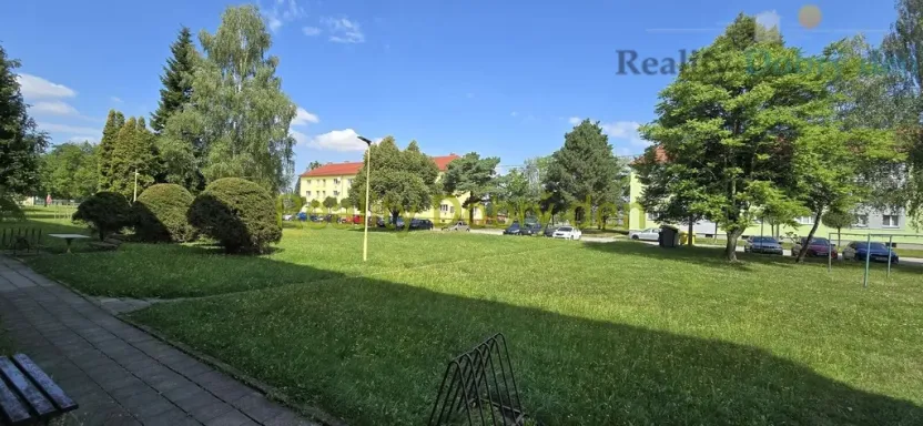 Prodej bytu 1+kk, Dolní Benešov, Osada míru, 21 m2