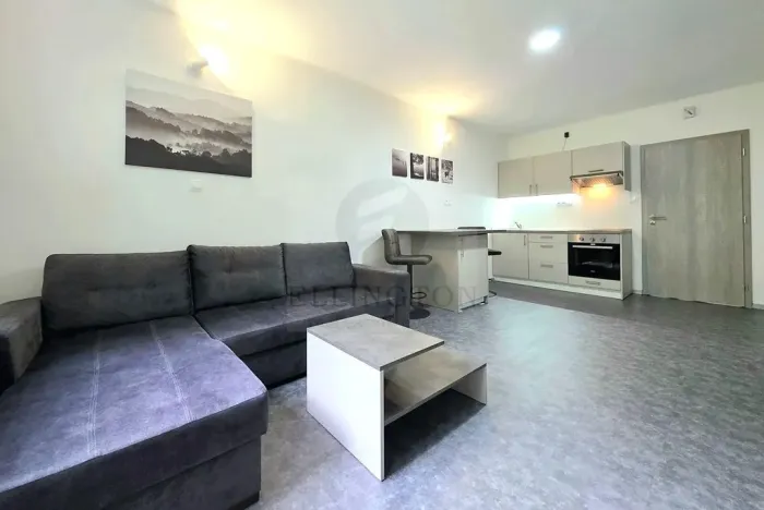 Pronájem bytu 1+kk, Ostrov - Horní Žďár, 29 m2