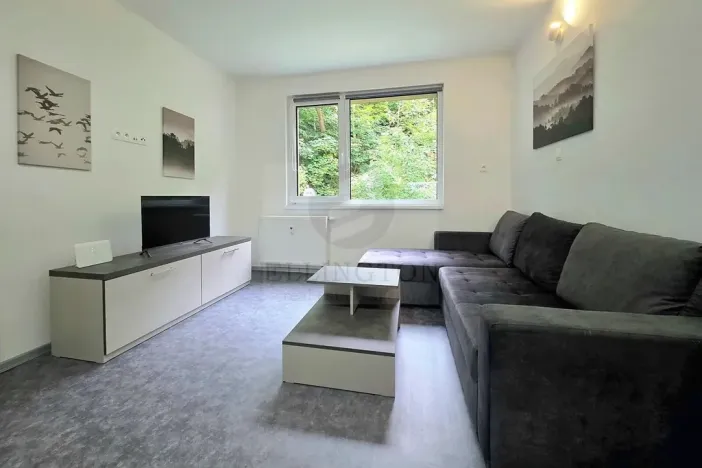 Pronájem bytu 1+kk, Ostrov - Horní Žďár, 29 m2