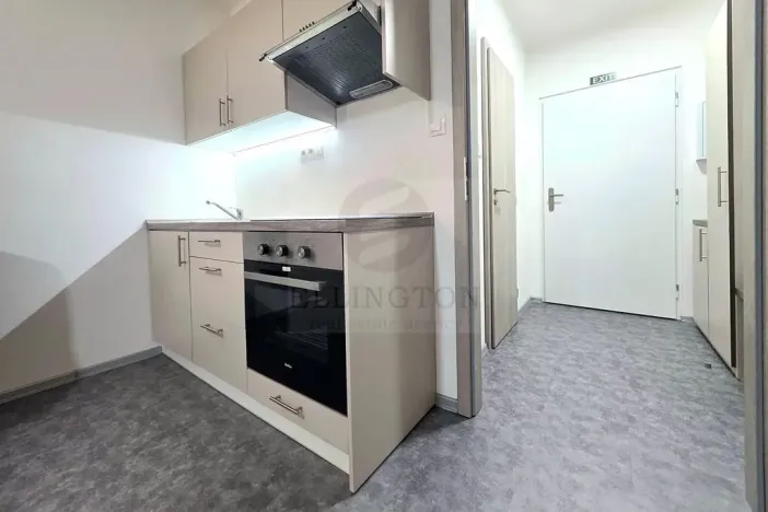 Pronájem bytu 1+kk, Ostrov - Horní Žďár, 29 m2