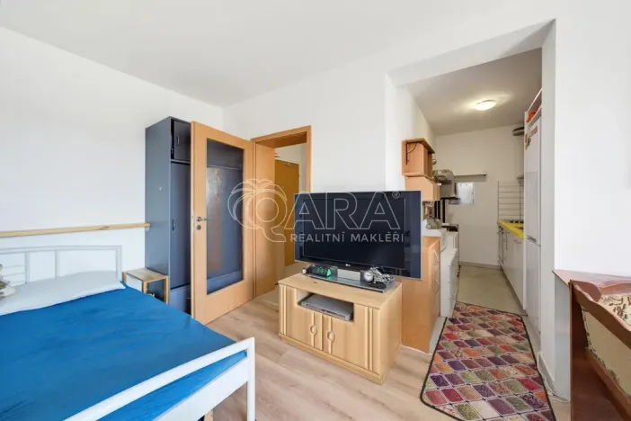 Prodej bytu 1+kk, Beroun - Beroun-Město, U Židovského hřbitova, 39 m2