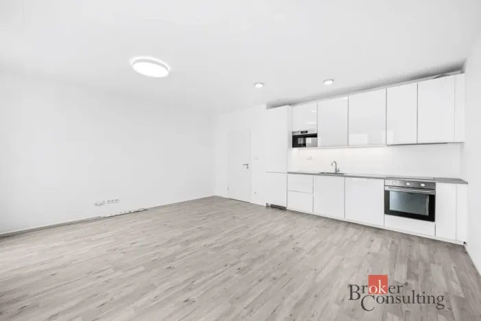 Pronájem bytu 1+kk, Plzeň - Jižní Předměstí, Železná, 37 m2