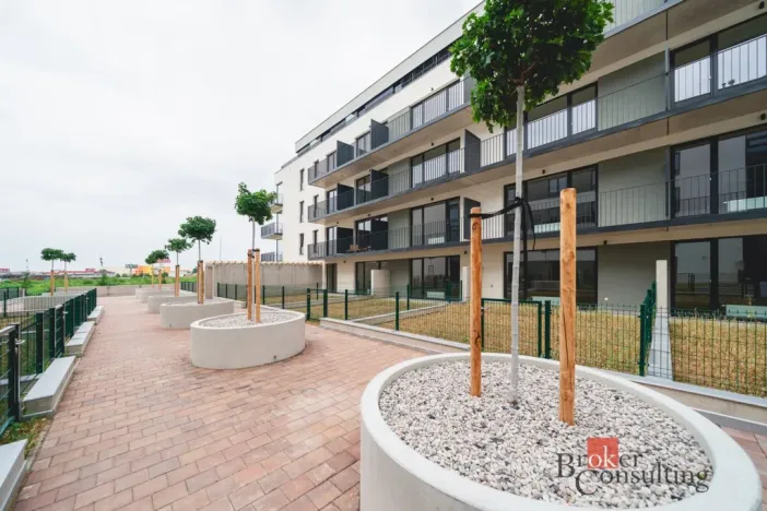 Pronájem bytu 1+kk, Plzeň - Jižní Předměstí, Železná, 37 m2