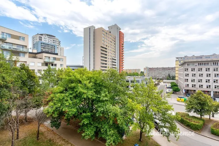 Pronájem bytu 2+kk, Praha, Petržílkova, 48 m2