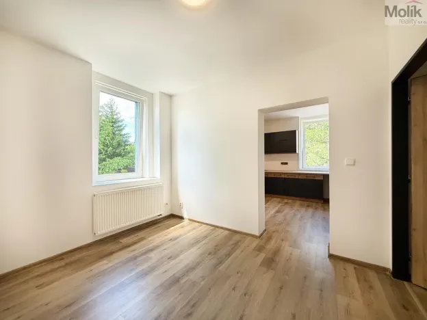 Pronájem bytu 2+1, Háj u Duchcova, Kubátova, 45 m2