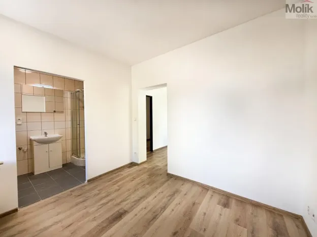 Pronájem bytu 2+1, Háj u Duchcova, Kubátova, 45 m2
