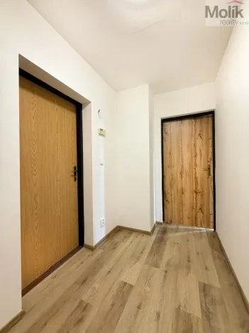 Pronájem bytu 2+1, Háj u Duchcova, Kubátova, 45 m2