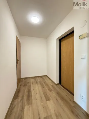 Pronájem bytu 2+1, Háj u Duchcova, Kubátova, 45 m2