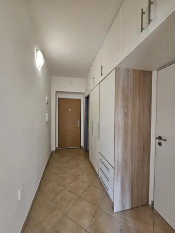 Pronájem bytu 1+1, Plzeň, Lazaretní, 45 m2