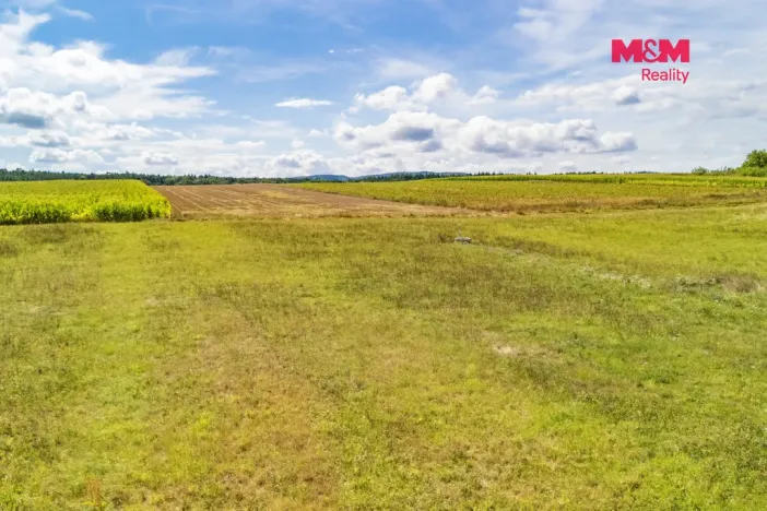 Prodej pozemku pro bydlení, Albrechtice nad Vltavou - Údraž, 2696 m2