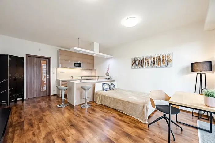Pronájem bytu 1+kk, Praha - Žižkov, Olšanská, 36 m2