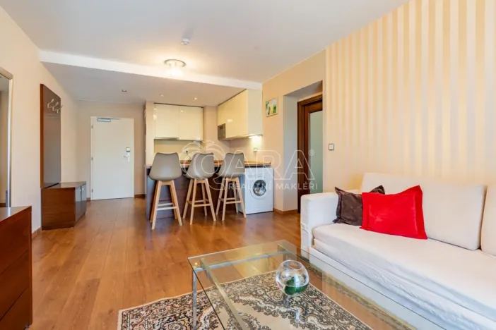 Prodej bytu 2+kk, Plzeň - Jižní Předměstí, U Borského parku, 52 m2