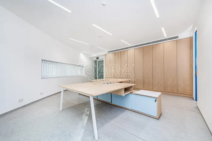 Pronájem obchodního prostoru, Praha - Žižkov, Jeseniova, 240 m2