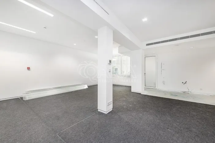 Pronájem obchodního prostoru, Praha - Žižkov, Jeseniova, 240 m2