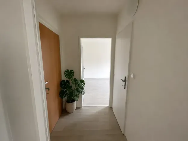 Pronájem bytu 1+1, Litvínov, Seifertova, 25 m2