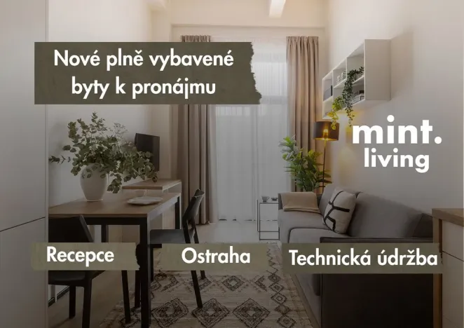 Pronájem bytu 1+kk, Plzeň - Skvrňany, Františka Kováříka, 39 m2