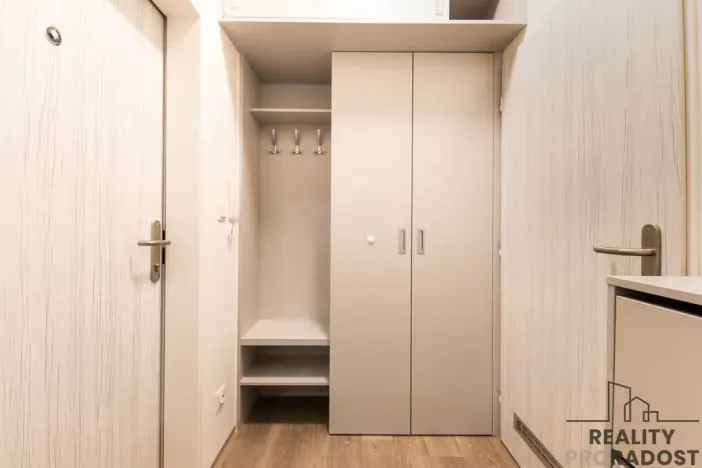 Pronájem bytu 1+kk, Ostrava - Polanka nad Odrou, Hraničky, 27 m2