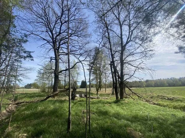 Prodej pozemku, Hranice, 1061 m2