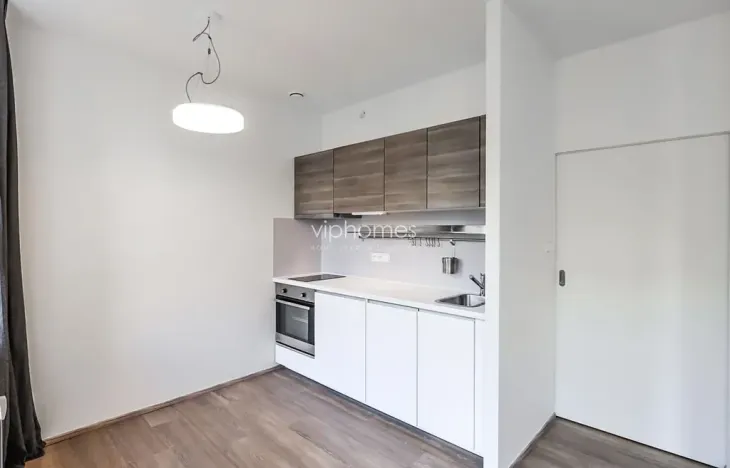 Pronájem bytu 1+kk, Praha - Vinohrady, Lucemburská, 30 m2