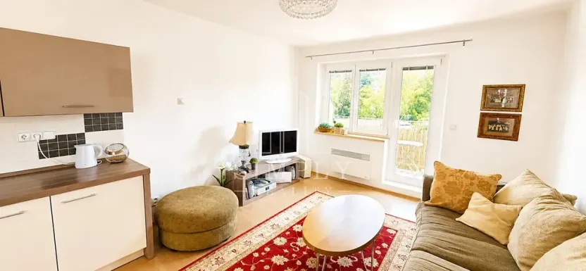 Prodej bytu 1+kk, Slapy, 50 m2