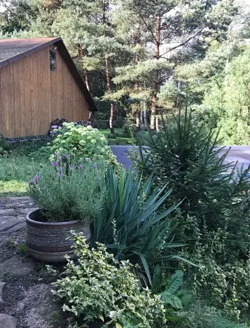 Prodej rodinného domu, Pila, 220 m2