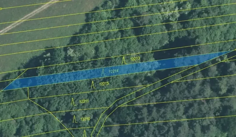 Dražba lesa, Strání, 597 m2