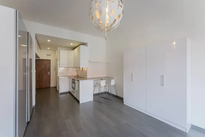 Pronájem bytu 1+kk, Praha - Karlín, Peckova, 34 m2