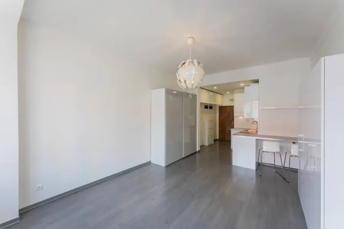 Pronájem bytu 1+kk, Praha - Karlín, Peckova, 34 m2