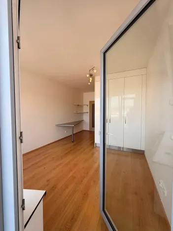Pronájem bytu 1+kk, Brno, Vídeňská, 31 m2