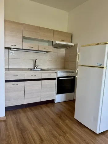 Pronájem bytu 1+kk, Ostrava, Hornopolní, 28 m2
