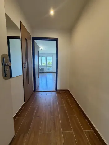 Pronájem bytu 1+kk, Ostrava, Hornopolní, 28 m2